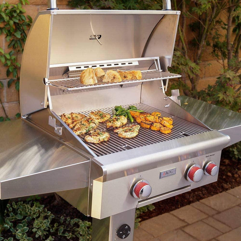 American Outdoor Grill "T" Series 24" Gas Grill In-Ground Post 24PGT-00SP